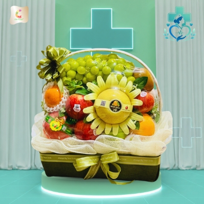10+ mẫu giỏ quà trái cây tri ân ngày Điều Dưỡng Việt Nam
