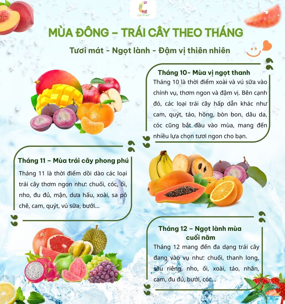 Các loại trái cây theo mùa trong năm ở Việt Nam - Tháng 10-11-12