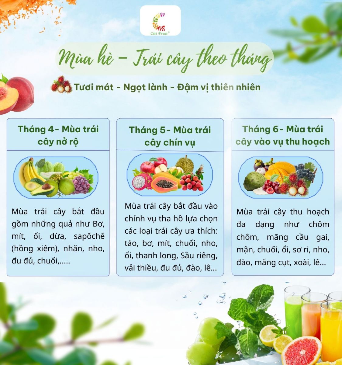 Các loại trái cây theo mùa trong năm ở Việt Nam - Tháng 4-5-6