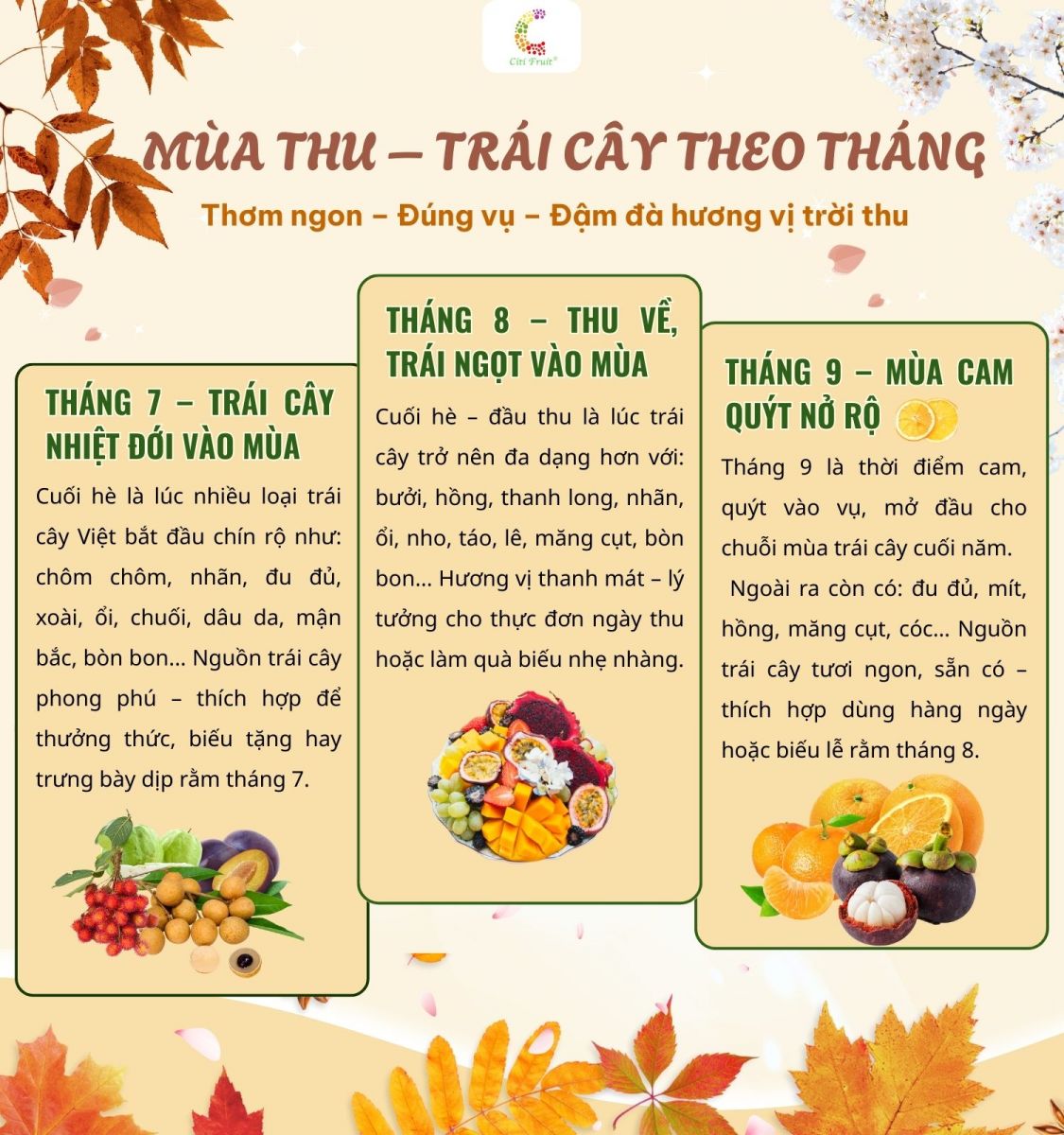 Các loại trái cây theo mùa trong năm ở Việt Nam - Tháng 7-8-9