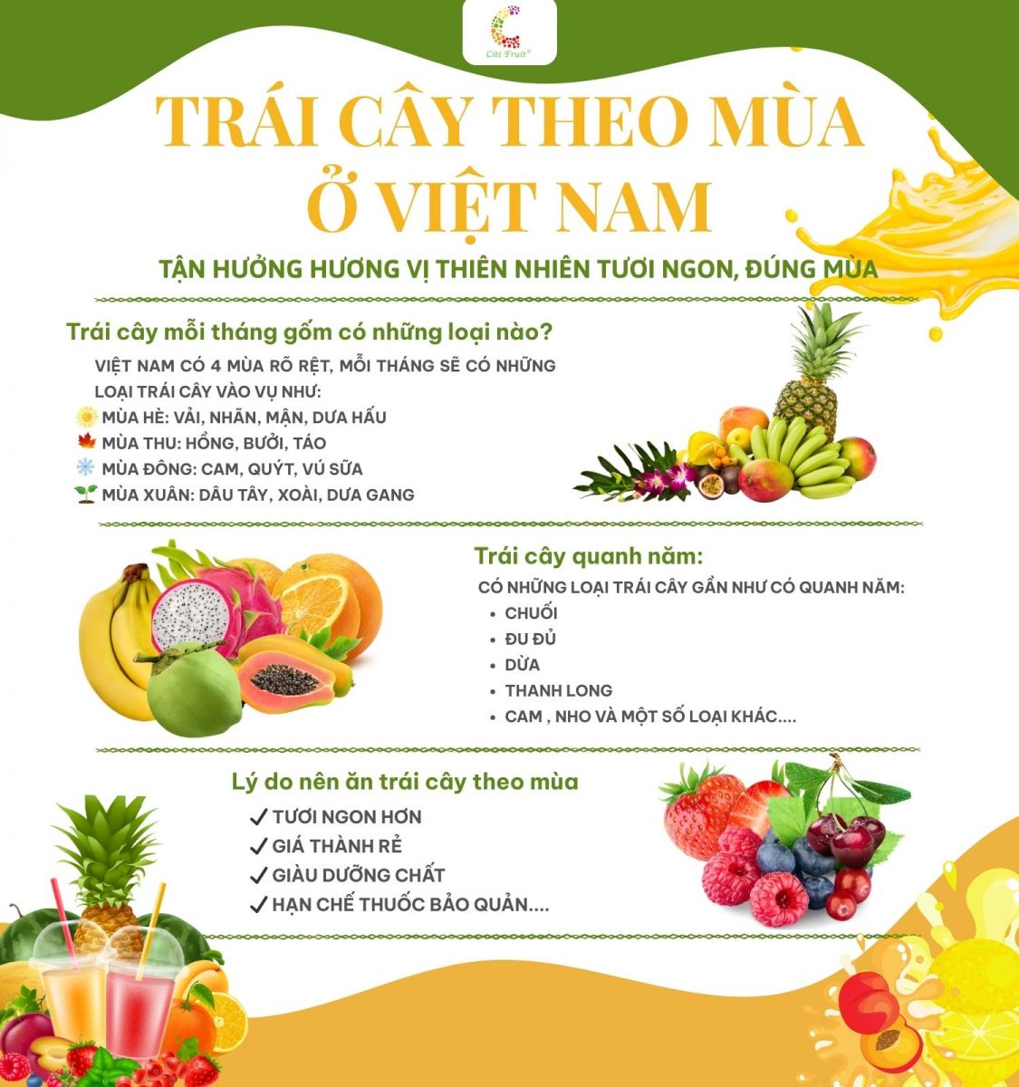 Các loại trái cây theo mùa trong năm ở Việt Nam