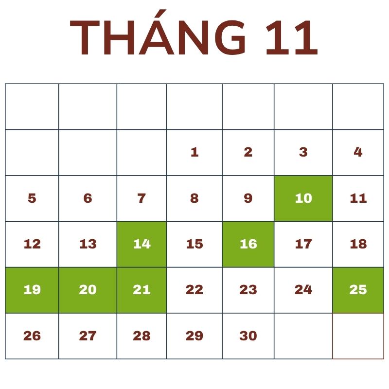 Những ngày lễ, kỷ niệm Quốc tế trong tháng 11