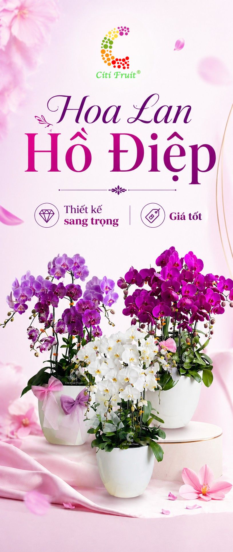 Home Banner 01